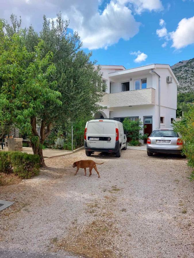 Appartement Climber à Starigrad Paklenica Extérieur photo